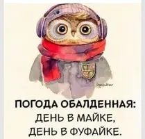 d4909fe2ab447f3709d9fa65bd3bc57d.webp
