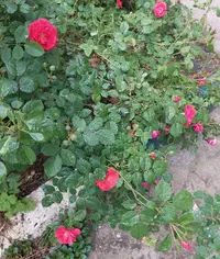 20210531_122133.webp