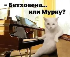 IMG-9a4fac3b9c94aed3b5b09652f0b4ba8a-V.webp