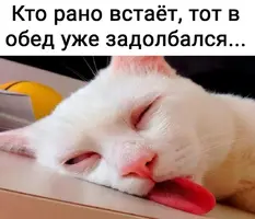 IMG-3cae8a791424c8c1f201c4d0391db32f-V.webp