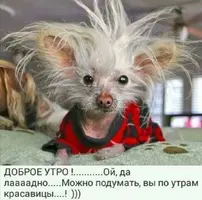 Screenshot_20210602_155451.webp