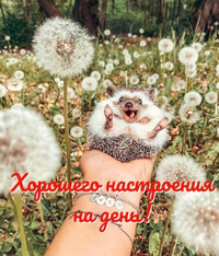 IMG_20210603_074231.webp