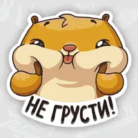 kartinki-ne-grusti-1.webp