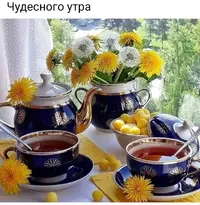 IMG-20210510-WA0007.webp