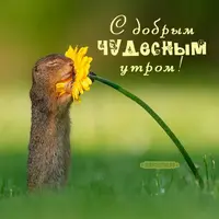 f0bd23f6e823da1df96ed0736d116234.webp