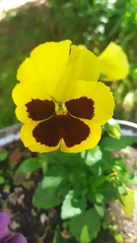 Screenshot_20210604_075115.webp