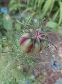 20210603_102700.webp