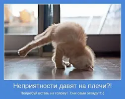 620284_900.webp