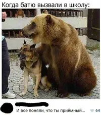 k9oo7cUiHP4.webp