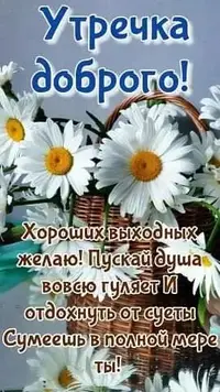 FB_IMG_1622866893240.webp