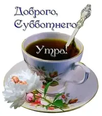 4c8bc8.webp