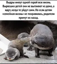 IMG_20210605_094555.webp