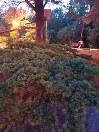 20210530_204918.webp