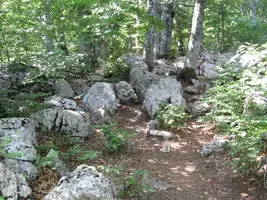 IMG_20210509_161933.webp