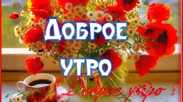 IMG-20210605-WA0006.webp