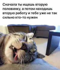 IMG_20210605_111628.webp