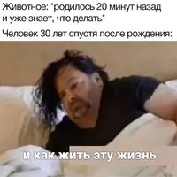 v5F65ztd7GA.webp