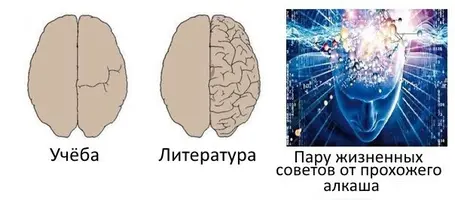 7Wc7EgHG-DE.webp
