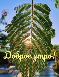 IMG_20210606_043942.webp
