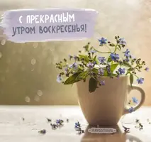 597da3fa6cb7919fec7522bb6df316b7.webp