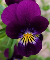 IMG_20210605_161645.webp