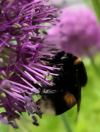 IMG_20210605_161532.webp
