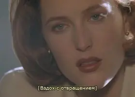 15068054541835267.webp