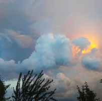 IMG_20210607_204946.webp