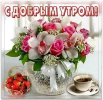 19-367.webp