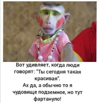 Screenshot_20210608_080218.webp