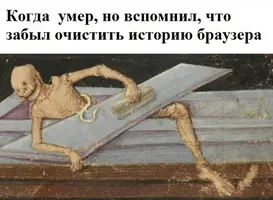 v6z1v5sMguY.webp