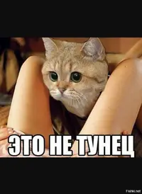 3cb6bde4c3bf068a220cd78e3e3c47ba.webp
