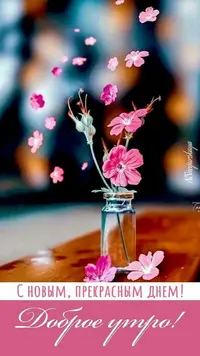IMG-3a7e0c60a7ac5905d4438d565bec492c-V.webp