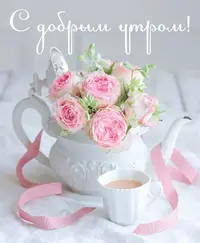 2766a888.webp