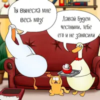 au2GsX3mZlU.webp