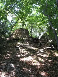 IMG_20210509_162208.webp