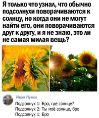 IMG_20210609_144735.webp