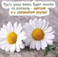e8407e8a5efd323183f14d8b741049f2.webp