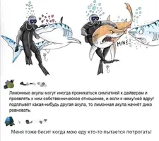 Screenshot_20210609_092853.webp