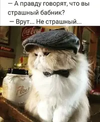 Screenshot_20210609_102432.webp