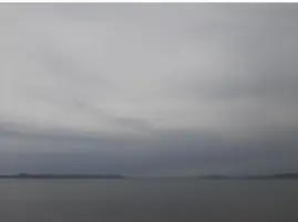 Screenshot_20210610-202930_Gallery.webp