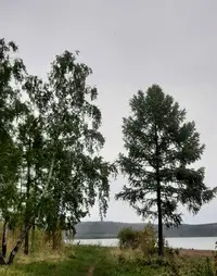 Screenshot_20210610-202944_Gallery.webp