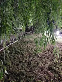 20210530_212423.webp