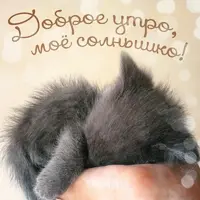 kree.webp