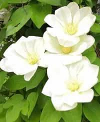 IMG_20210605_161452.webp