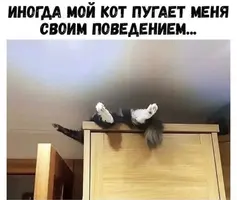 IMG-cbea3740af031f396d5b42d8b928ccde-V.webp
