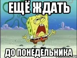 spanch-bob_48784712_orig_.webp