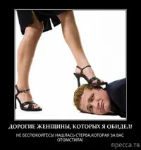 Новый рисунок (3).webp