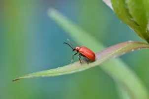 _DSC9738.webp