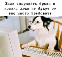 IMG_20210611_212037.webp